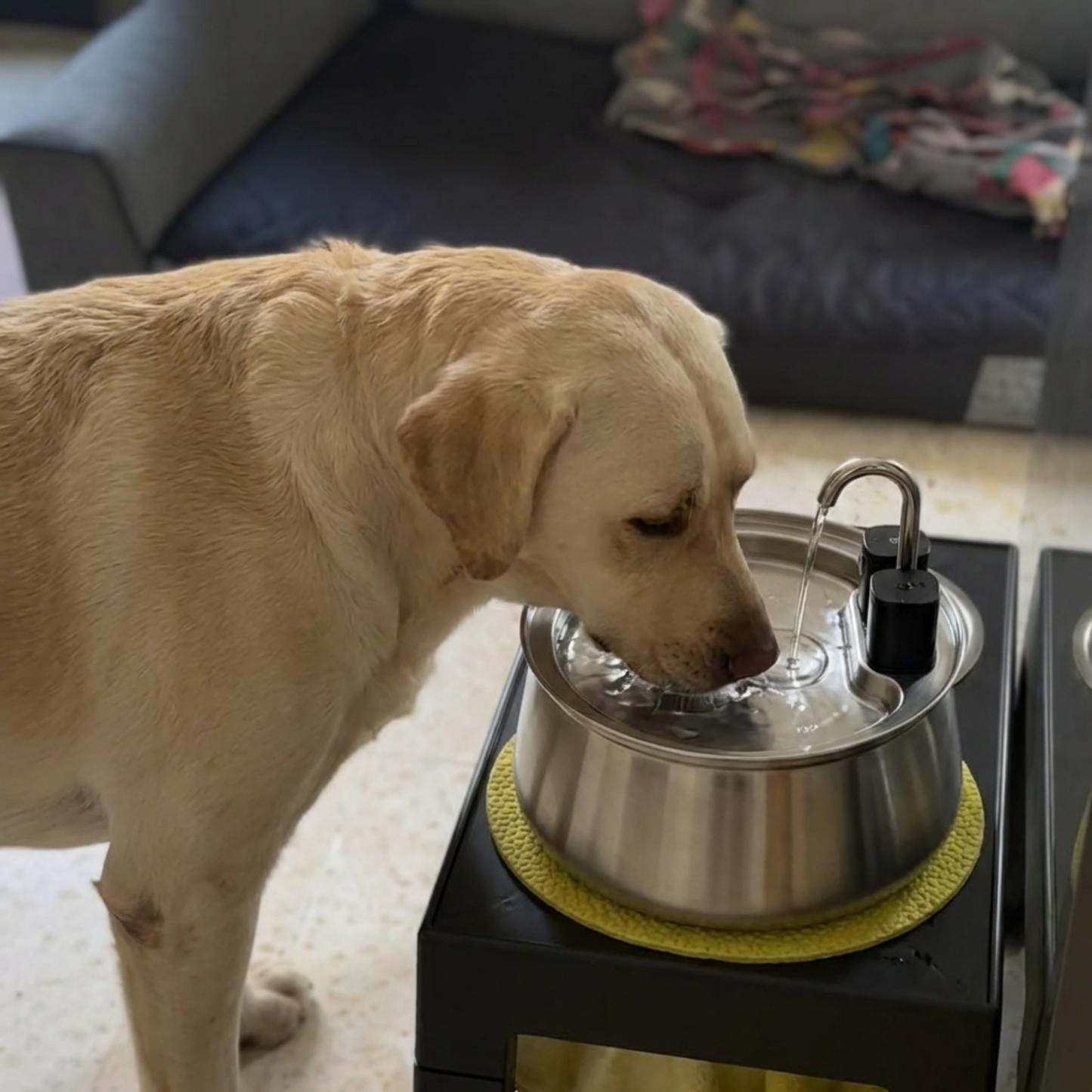 Oneisall Stainless Steel Pet Water Fountain