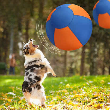 Dog herding ball