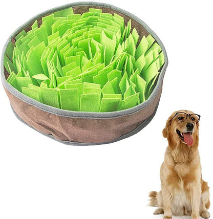 Sniff & Seek Mat