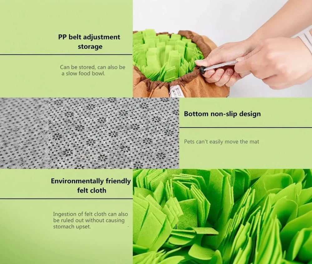 Sniff & Seek Mat