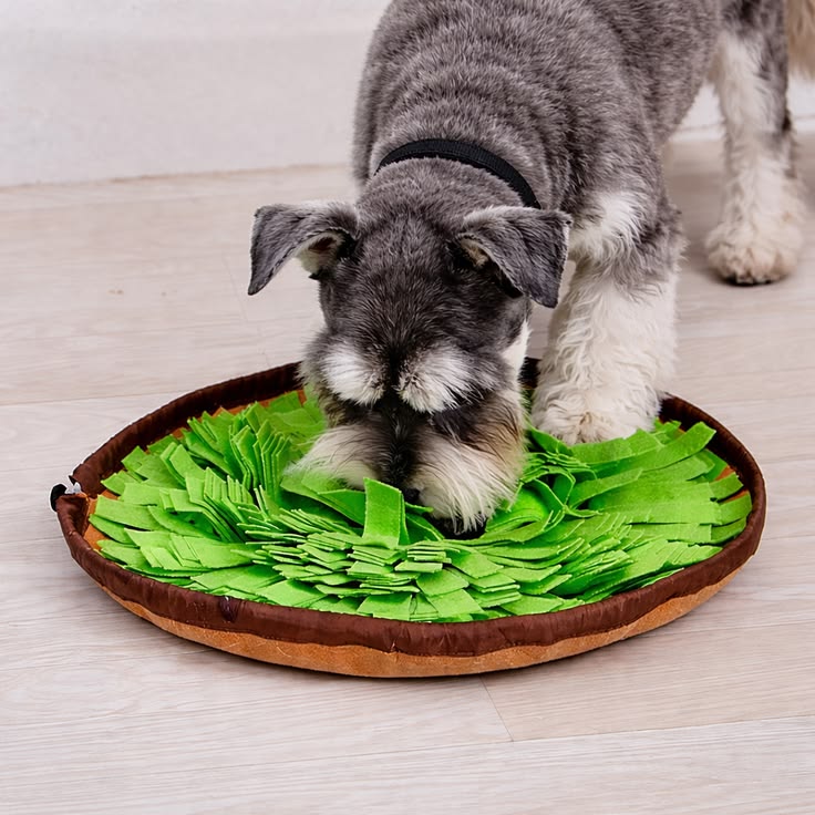 Sniff & Seek Mat