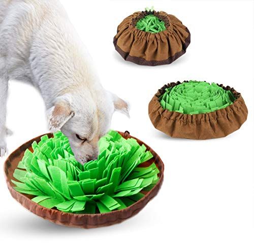 Sniff & Seek Mat
